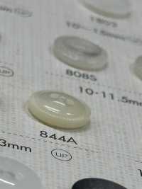 844A DAIYA BUTTONS زر بوليستر بمظهر الصدف ذو فتحتين[أزرار] DAIYA BUTTON صور إضافية