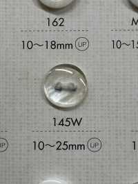 145W DAIYA BUTTONS زر بوليستر بمظهر الصدف بفتحتين (شبه شفاف)[Buttons] DAIYA BUTTON صور إضافية