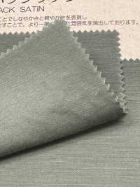 BD6101 ساتان ظهر خفيف من القطن والكتان[Textile / Fabric] COSMO TEXTILE صور إضافية