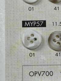 MYP57 زر بوليستر بنمط قرن الجاموس بأربع فتحات للقمصان والسترات[أزرار] DAIYA BUTTON صور إضافية