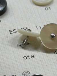 ES106 زر بوليستر أنيق وفاخر بمظهر الصدف[أزرار] DAIYA BUTTON صور إضافية