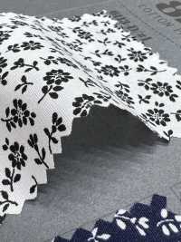 6113 SEVENBERRY® برودكلوث سلسلة أحادية اللون[Textile / Fabric] VANCET صور إضافية