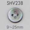SHV238 زر صدفي بأربع فتحات