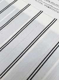 35460 آيفي برودكلوث (COOLMAX® EcoMade Fabric) [مخطط][نسيج / قماش] SUNWELL صور إضافية