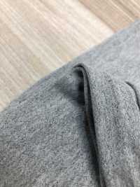 283 Shine Cool 40 جيرسي قطني عالي الغرز (36G)[نسيج / قماش] VANCET صور إضافية