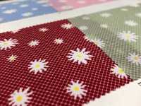 DH10249L بوبلين Homy (Margaret)[Textile / Fabric] VANCET صور إضافية