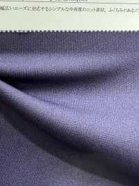 43623 حياكة إنترلوك دائرية رباعية المراحل من البوليستر 150d[Textile / Fabric] SUNWELL صور إضافية
