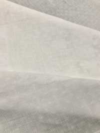 WG4040 شاش قطني مزدوج عريض 40 × 40[نسيج / قماش] Okura Shoji صور إضافية