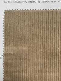 13456 كوردروي 8W[Textile / Fabric] SUNWELL صور إضافية