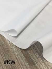 FT4545 FLUTECT T/C برودكلوث 208 خيوط مضاد للفيروسات [الأوتليت][Textile / Fabric] Okura Shoji صور إضافية