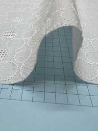 T26088-1 دانتيل قطن AO أوف وايت[Textile / Fabric] Kyowa Lace صور إضافية