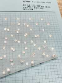 T27030 دانتيل تول AO أوف وايت[نسيج / قماش] Kyowa Lace صور إضافية