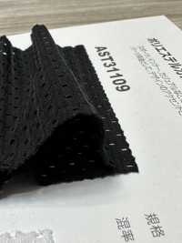 AST31109 شبكة بوليستر كاتيونية ثنائية الاتجاه[Textile / Fabric] Nihon Stretch صور إضافية