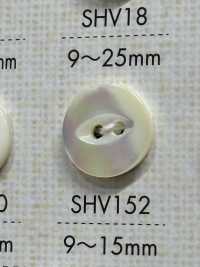 SHV152 زر صدفي بفتحتين[أزرار] DAIYA BUTTON صور إضافية