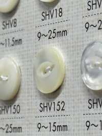 SHV152 زر صدفي بفتحتين[أزرار] DAIYA BUTTON صور إضافية