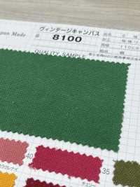 8100 Fujikinbai كانفاس قطن رقم 8 كانفاس فينتاج[Textile / Fabric] Fujikinbai صور إضافية