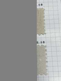 K1420 Fujikinbai قطن 10/8 أوكسفورد غير مبيّض ومغسول[نسيج / قماش] Fujikinbai صور إضافية