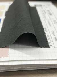 8111GW SUNNY DRY برودكلوث بتشطيب مغسول مجفف بالشمس[Textile / Fabric] SHIBAYA صور إضافية