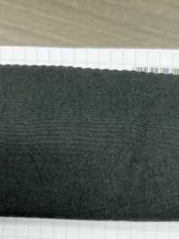 8111GW SUNNY DRY برودكلوث بتشطيب مغسول مجفف بالشمس[Textile / Fabric] SHIBAYA صور إضافية
