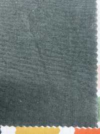 8111GW SUNNY DRY برودكلوث بتشطيب مغسول مجفف بالشمس[Textile / Fabric] SHIBAYA صور إضافية