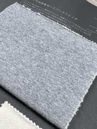 1077863 فرنش تيري نابض فائق التمدد[Textile / Fabric] Takisada صور إضافية