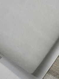 43280 Lotus Thermo (43280)[Interfacing] IWASAKI صور إضافية
