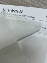 KKF5601-58 BR50d×60/spun لاون عريض العرض[نسيج / قماش] Uni Textile (Komon Kobo) صور إضافية