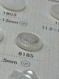 818S DAIYA BUTTONS زر بوليستر بنمط الصدفة ذو فتحتين[أزرار] DAIYA BUTTON صور إضافية