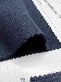 366 30/10 فرنش تيري[Textile / Fabric] VANCET صور إضافية