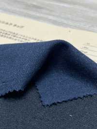 AN-9269 قطن حرير نيب[Textile / Fabric] Arinobe Shoten صور إضافية