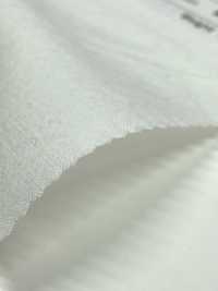 SB206WD قماش ناعم من القطن/الكتان، مصبوغ بالونش[Textile / Fabric] SHIBAYA صور إضافية