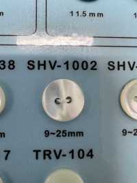 SHV1002 زر صدفي ذو فتحتين[Buttons] DAIYA BUTTON صور إضافية