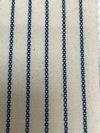 AN-9203 مخطط دوبّي قطني[Textile / Fabric] Arinobe Shoten صور إضافية