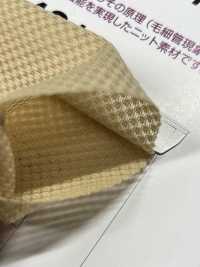 T431 TORAY Field Sensor® نسيج تريكو للملابس الداخلية[نسيج / قماش] Tamurakoma صور إضافية