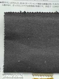 13679 26/2BD تيري فرنسي ثقيل[Textile / Fabric] SUNWELL صور إضافية