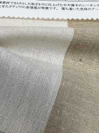 14333 قطن/كتان مصبوغ بالخيوط بنقشة مربعات كبيرة بتشطيب تجعيد عمودي[Textile / Fabric] SUNWELL صور إضافية