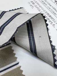 14351 مصبوغ بالخيوط 100/2 متعدد الخطوط[Textile / Fabric] SUNWELL صور إضافية