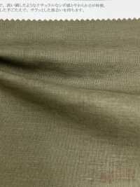 22382 قماش شيتينغ من القطن/الكتان TKS[Textile / Fabric] SUNWELL صور إضافية