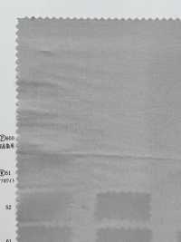 22455 قماش تايب رايتر 50s[Textile / Fabric] SUNWELL صور إضافية