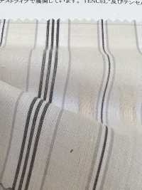 35422 قماش لاون مخطط متعدد الأشرطة مصبوغ بالغزل من القطن/TENCEL™ Lyocell[Textile / Fabric] SUNWELL صور إضافية
