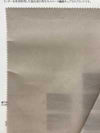 42505 تشطيب مغسول بتويل كوبرو/قطن[Textile / Fabric] SUNWELL صور إضافية