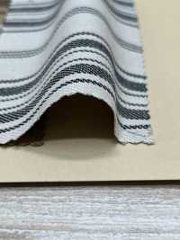 A-8082 مخطط قطني-كتاني[Textile / Fabric] Arinobe Shoten صور إضافية