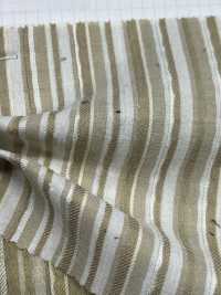 6670 خطوط التكسيرات[Textile / Fabric] Fine Textile صور إضافية