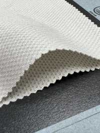 1061300 SOFTCOOL® إكستريم شبك تريكوت[Textile / Fabric] Takisada صور إضافية