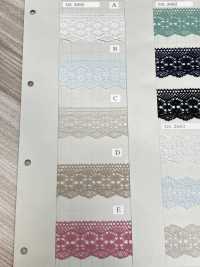 DS2682 دانتيل تورشون، عرض 32 مم DAISADA صور إضافية