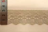 DS2682 دانتيل تورشون، عرض 32 مم DAISADA صور إضافية