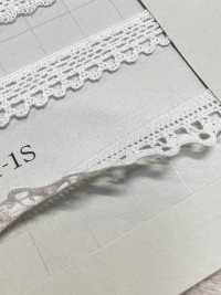 DS9371-1S تورسيون ليز، بعرض 11 مم[Lace] DAISADA صور إضافية
