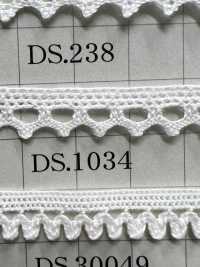 DS238 دانتيل تورشون، العرض 10mm[Lace] DAISADA صور إضافية