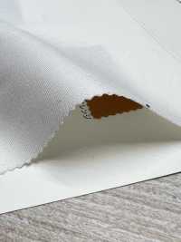 10609 تشينو 20s مطاطي NANO-WING (خالٍ من PFOA) طارد للماء[Textile / Fabric] VANCET صور إضافية