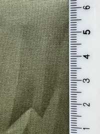 73001 قطن شامبراي ممشط 40s Miracle Cotton[Textile / Fabric] VANCET صور إضافية